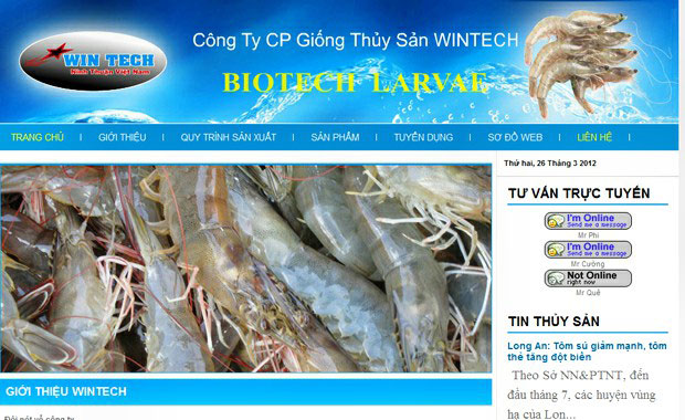 thiet ke web cong ty cp giong thuy san wintech